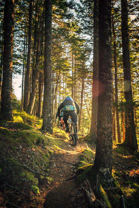 The Ultimate Guide to Biking: Unleash the Adventurer Within