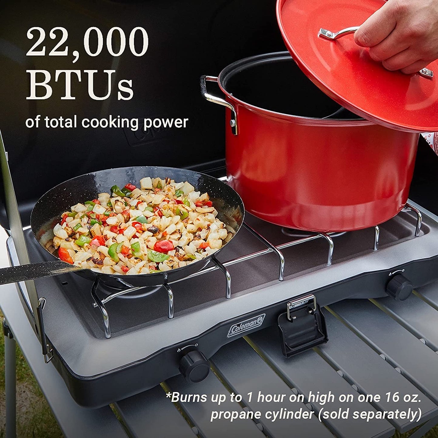 Portable 2-Burner Propane Camping Stove