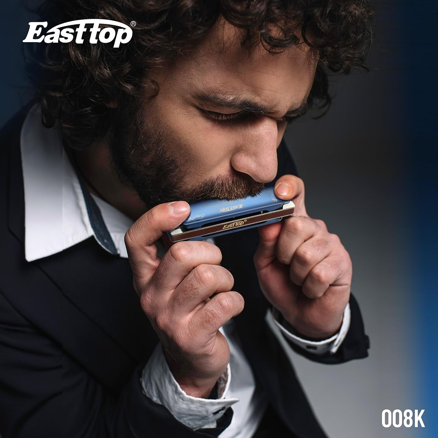 Diatonic Blues Harmonica 